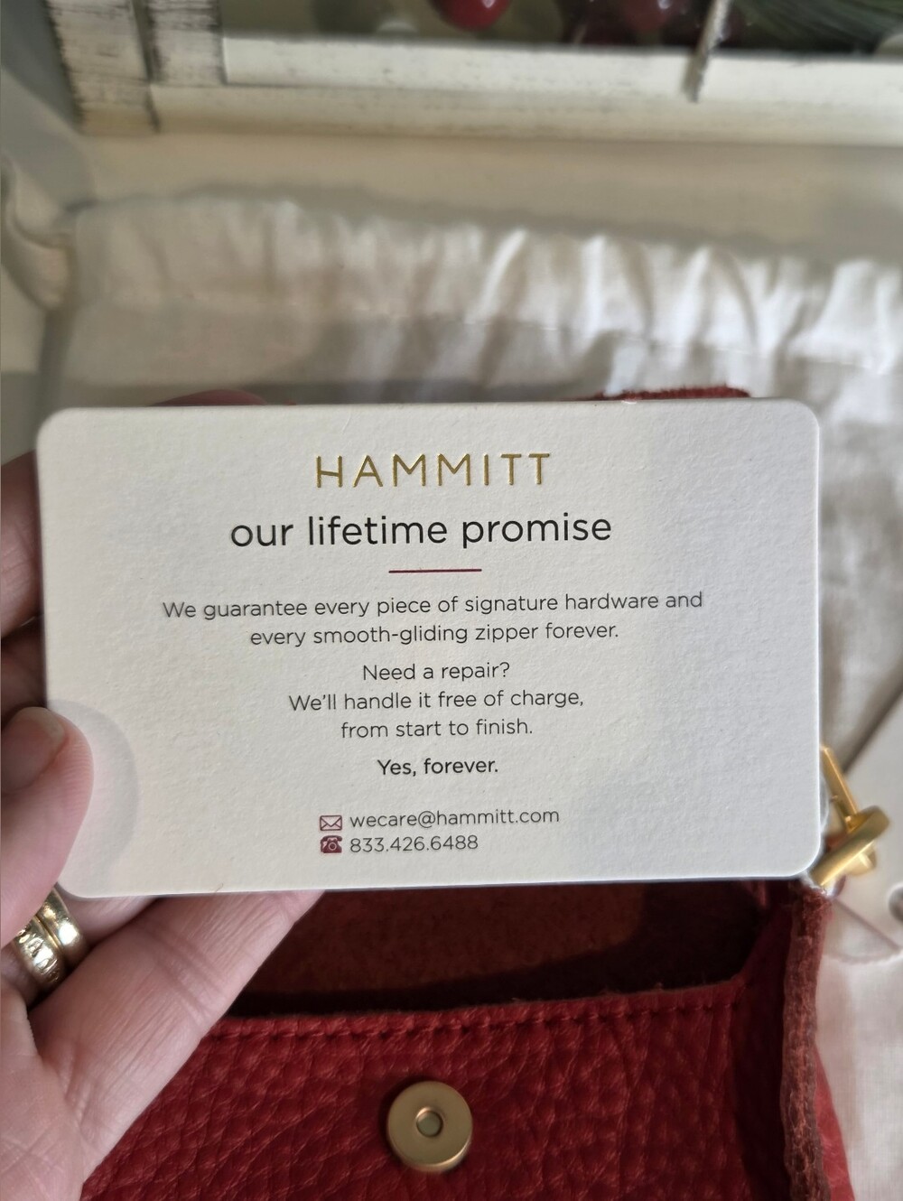 Hammitt Winter Cherry Red Leather Ornament Mini Pouch Bag Charm - Picture 9 of 11